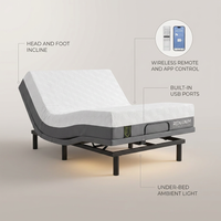 Gray Twin XL Adjustable Bed Frame, Massage, Wireless Remote/App, USB Ports, Under-Bed Light, Head/Foot Incline — infographic